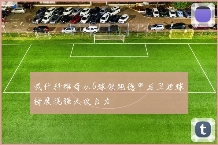 武什科维奇以6球领跑德甲后卫进球榜展现强大攻击力